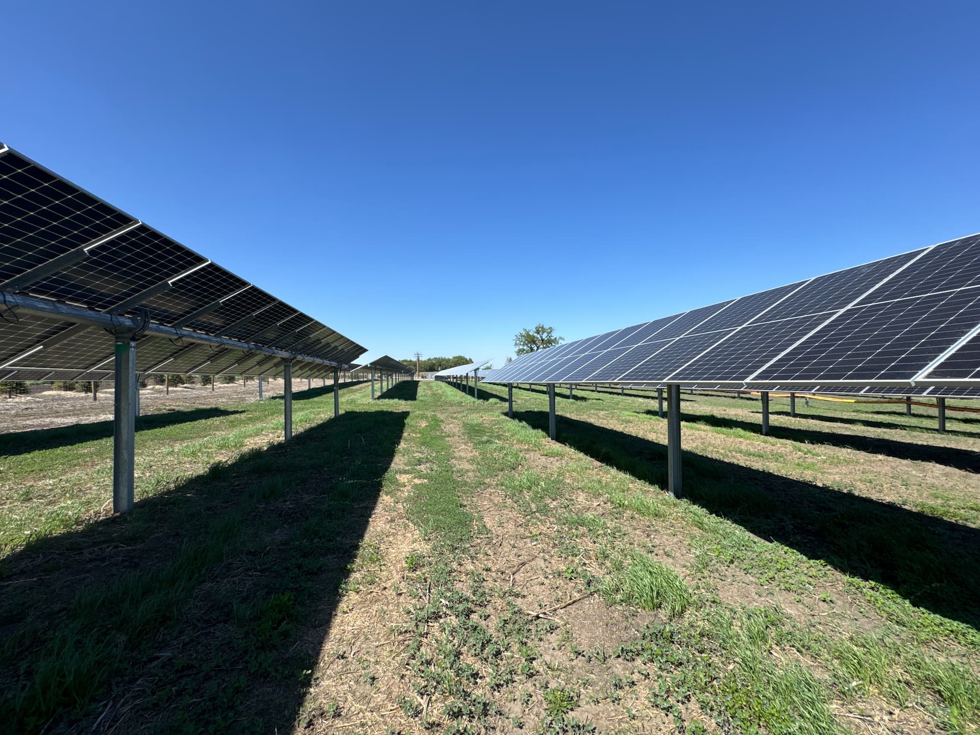 Bonnie CSG - Image 1
