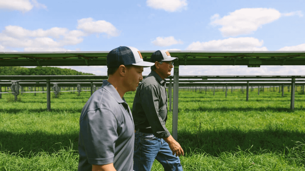 Solar land development